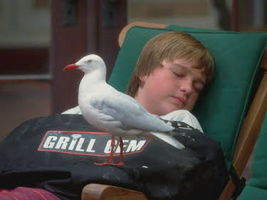 15:35: Two and a Half Men | ProSieben | 8/10 2026