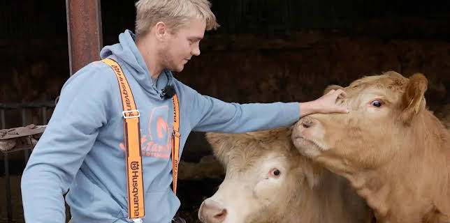 20:15: die nordstory Spezial - Der Inselbauer von Amrum | NDR Fernsehen | 12/7 2025