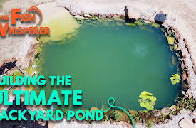 The Fish Whisperer: Building The Ultimate Backyard Pond! (Adding Plants)