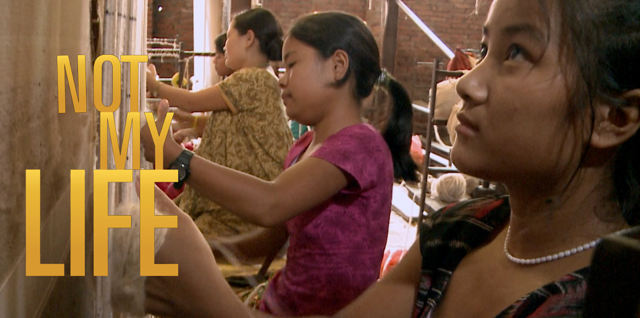 Not My Life (2011)