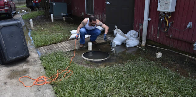 15:00: Pit Bulls & Parolees (S8 E7) (S8) | Animal Planet | 3/6 2026