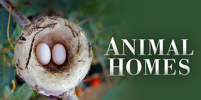 Animal Homes, Season 1