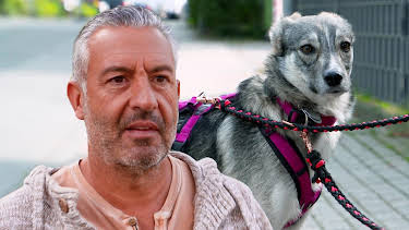 12:00: Hunde verstehen! | WDR Fernsehen | 9/5 2026