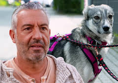 Hunde verstehen!