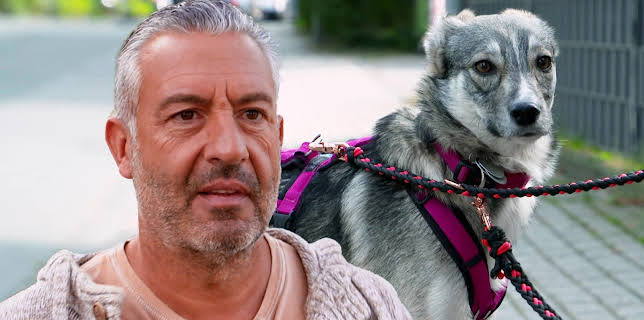 11:10: Hunde verstehen! | WDR Fernsehen | 2/26 2026