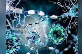 An Introduction to Infectious Diseases: The Dynamic World of Infectious Disease