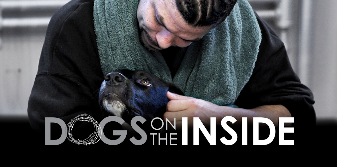 Dogs On the Inside (2014)
