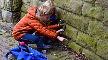 10:55 AM: Let's Go for a Walk (S3) | Cbeebies | 9/17 2026