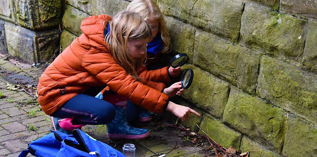 11:35 AM: Let's Go for a Walk (S3) | Cbeebies | 3/18 2026