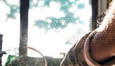 Artesanía truchera en Granada