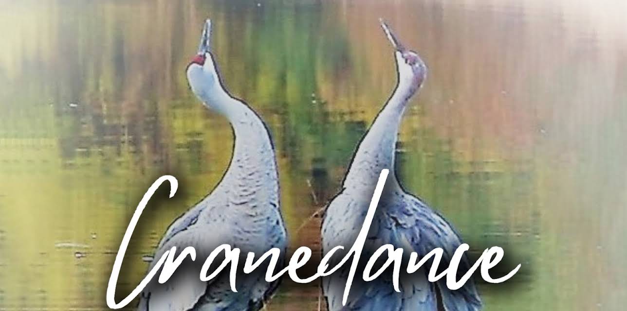 Cranedance (2023)