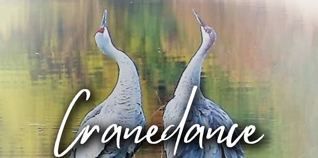 Cranedance (2023)