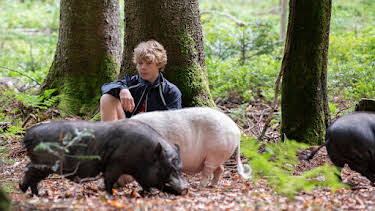 08:35: Tiere bis unters Dach (102) | Das Erste | 6/21 2026