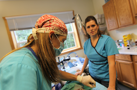 Dr. Oakley: Veterinären i Yukon: Episode 4