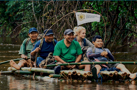 Secret Amazon: Into the Wild: Giant Wasps and Caiman