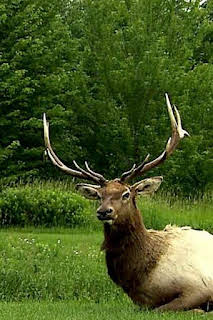 05:37: Así se hace (MAX): Señuelos de caza robóticos/Tomates en lata/Lazos | Discovery | 4/2 2026