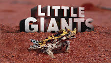 Little Giants (S1 E7)