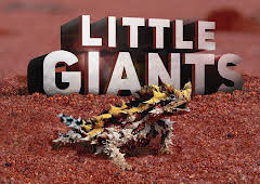 Little Giants