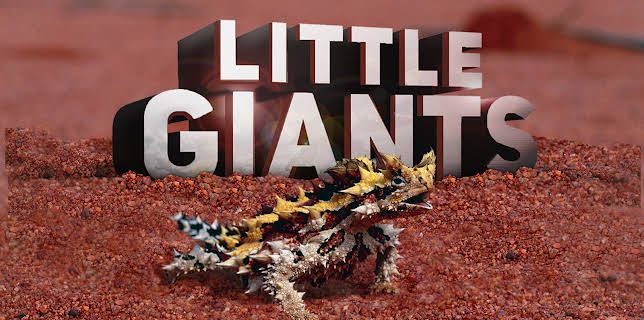 09:53: Little Giants (S1 E18) (S1) | Animal Planet | 11/2 2025