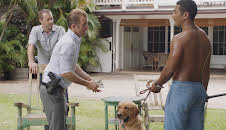 Hawaii Five-0 (S9 E2)
