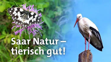 17:30: Saar Natur | SR Fernsehen | 9/19 2026