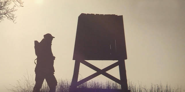 Mikael Tham: Driven Hunts