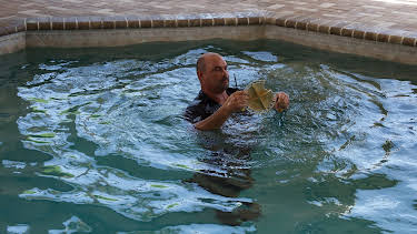 19:00: Insane Pools: Off the Deep End (S2 E2) (S2) | Animal Planet | 4/9 2026