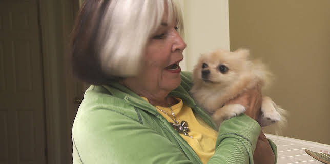 00:45: My Tiny Terror (S1 E2) (S1) | Animal Planet | 1/4 2026