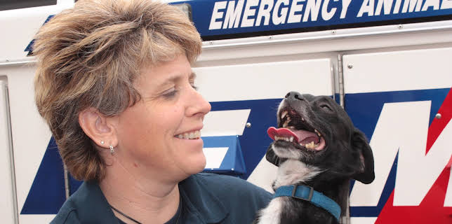 14:00: Animal Cops Phoenix (S15 E2) (S15) | Animal Planet | 5/13 2025