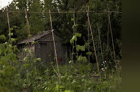 A Killer's Mistake S1: Rahim Mohammaddi