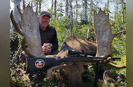 Moment Of Impact: Moose Pollution