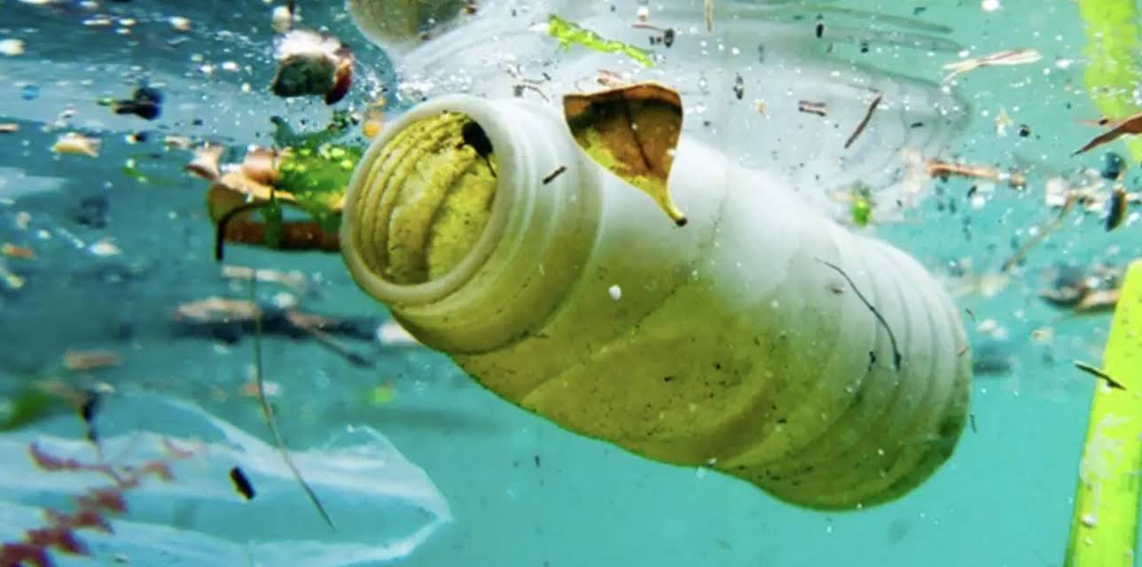 Plastic The Real Sea Monster (2018)