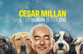 Cesar Millan: Better Human Better Dog Season 1: Fit for Service