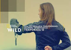 Especial Una veterinaria todoterreno: A prueba de cuernos en el Yukón