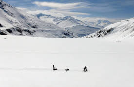 Land of River and Peaks: The Rhône - From the Swiss Alps to the Camargue