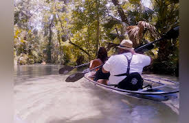 The Wanderer: A Travel Series: Orlando: The Joy of the Unexpected
