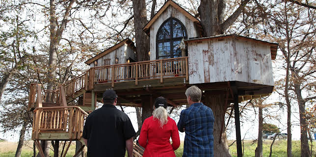 14:00: Treehouse Masters (S7 E5) (S7) | Animal Planet | 12/15 2025