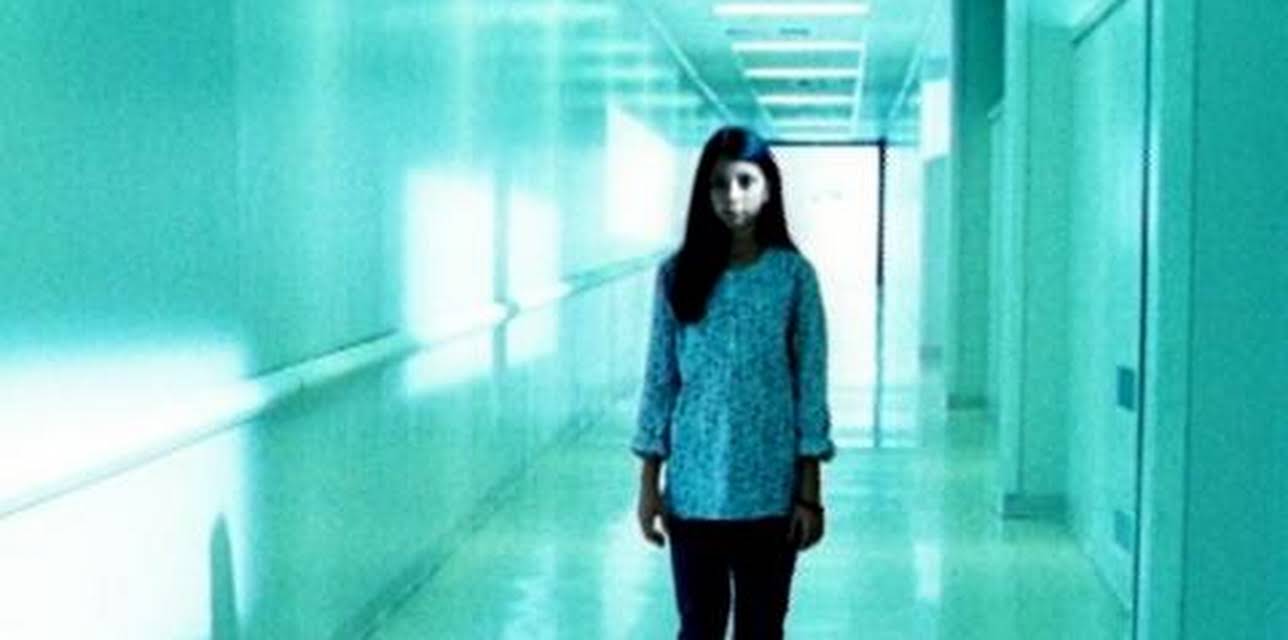 Stir of Echoes 2: The Homecoming (2007)