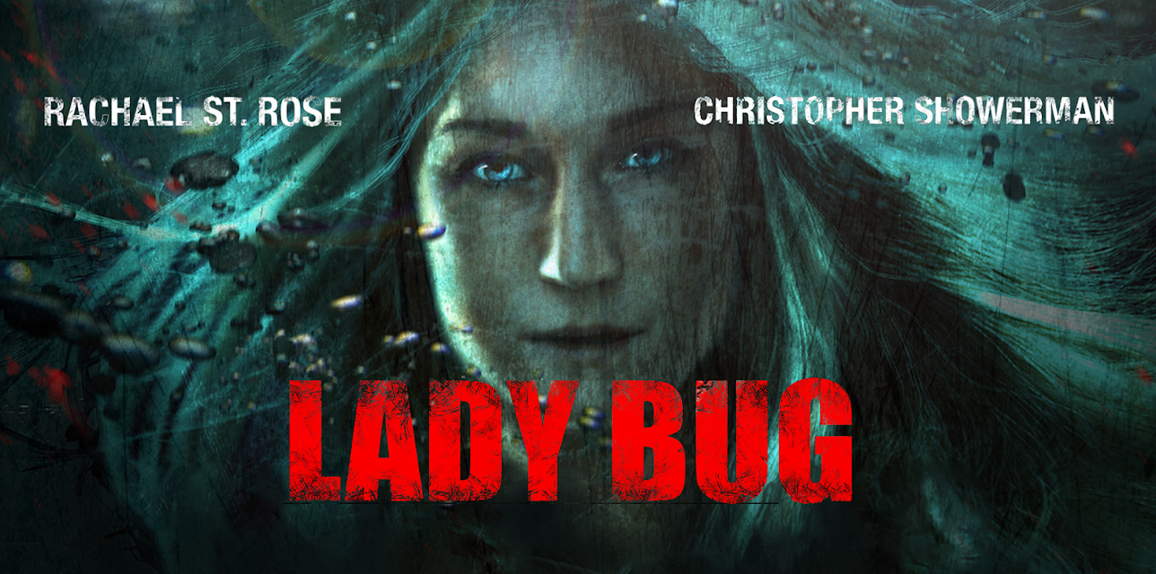 Lady Bug (2017)