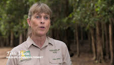 Crikey! It's the Irwins (S1 E2)