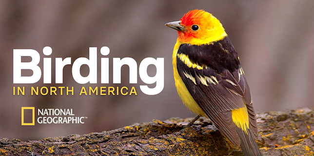 The National Geographic Guide to Birding in North America