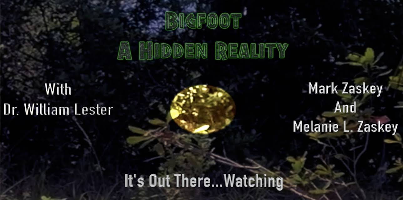 Bigfoot: A Hidden Reality (2018)