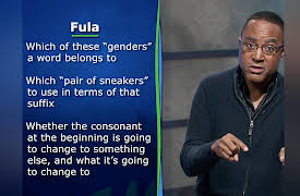 Language Families of the World: Niger-Congo: The Biggest Family in Africa II