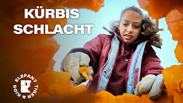 19:50: Elefant, Tiger & Kids: Zoo-Praktikum backstage | MDR Fernsehen | 4/4 2026