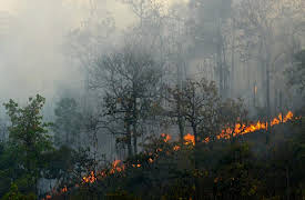 Rain The Untold Story: The Value of Rain