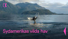 Sydamerikas vilda hav