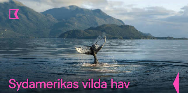 Sydamerikas vilda hav