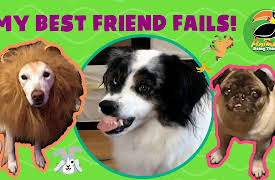 Animals Doing Things: Animals Doing Things | My Best Friend Fails!