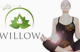 The Willow: The Feeling of Inspiration