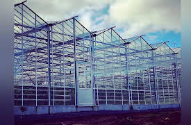 Taste Hunters: Iceland